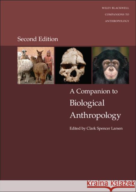 A Companion to Biological Anthropology Larsen, Clark Spencer 9781119828044 John Wiley and Sons Ltd - książka