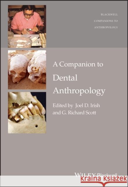 A Companion to Dental Anthropology Joel D. Irish G. Richard Scott 9781119096535 Wiley-Blackwell - książka