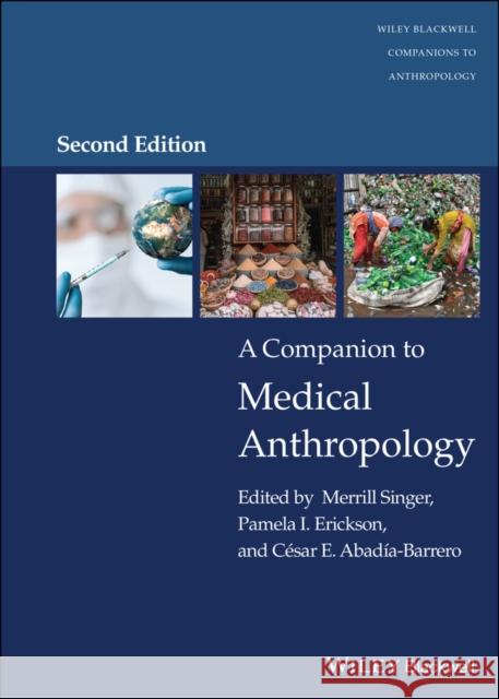 A Companion to Medical Anthropology Merrill Singer Pamela I. Erickson Abad 9781119718901 Wiley-Blackwell - książka