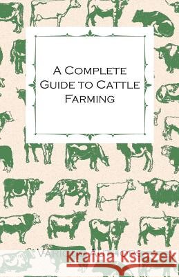 A Complete Guide to Cattle Farming - A Collection of Articles on Housing, Feeding, Breeding, Health and Other Aspects of Keeping Cattle Various 9781446536414 McMaster Press - książka