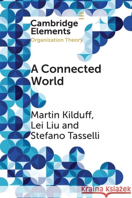 A Connected World Stefano (Uiversity of Exeter Business School) Tasselli 9781009179492 Cambridge University Press - książka