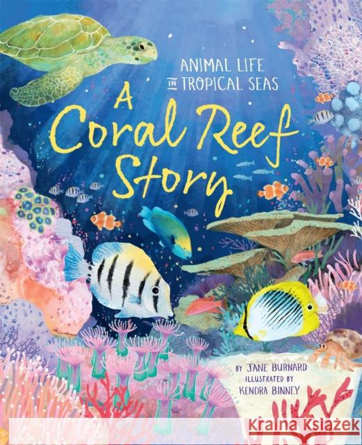 A Coral Reef Story: Animal Life in Tropical Seas Jane Burnard 9780753448076 Pan Macmillan - książka