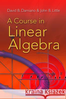 A Course in Linear Algebra David B. Damiano John B. Little 9780486469089 Dover Publications - książka