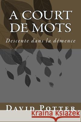 A court de mots: Descente dans la demence Potter, David 9781979338547 Createspace Independent Publishing Platform - książka