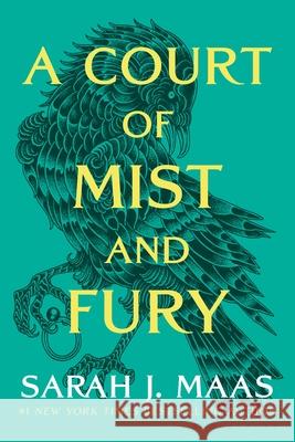 A Court of Mist and Fury Sarah J. Maas 9781635575583 Bloomsbury Publishing - książka