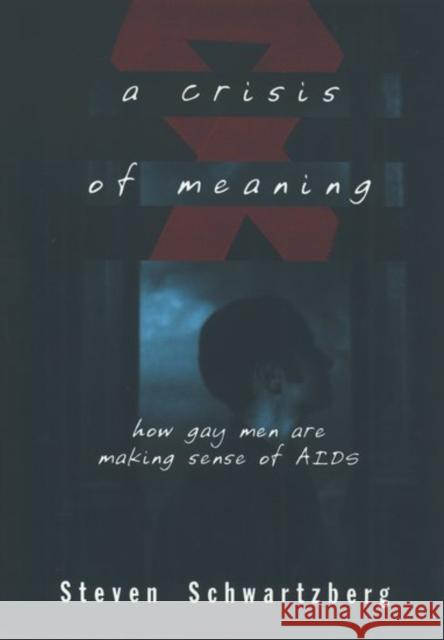 A Crisis of Meaning: How Gay Men Are Making Sense of AIDS Schwartzberg, Steven 9780195096279 Oxford University Press - książka