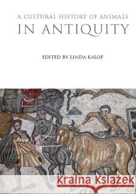 A Cultural History of Animals in Antiquity Kalof L 9781845203610 SOS FREE STOCK - książka