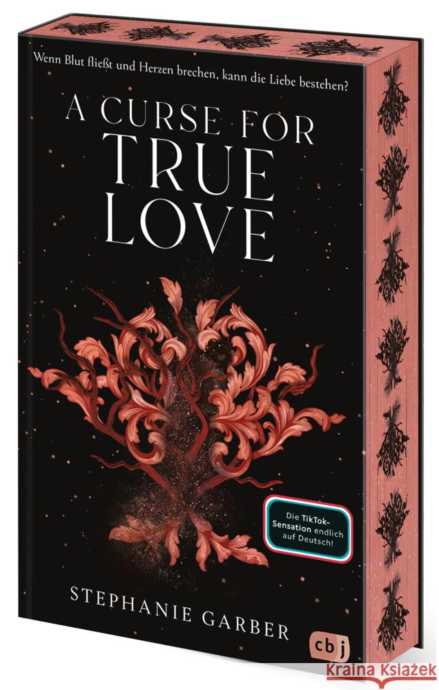 A Curse for True Love Garber, Stephanie 9783570167199 cbj - książka