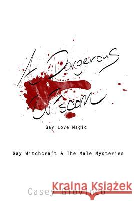 A Dangerous Wisdom: Gay Love Magic Shawn M. Shadow Stewart A Thorn Nightwind 9780999871928 Casey Giovinco - książka