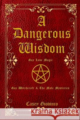 A Dangerous Wisdom: Gay Love Magic Shawn Shadow Stewart A Stewart A 9780999871942 Casey Giovinco - książka