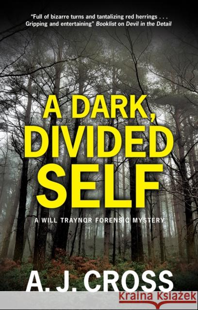 A Dark, Divided Self A.J. Cross 9780727850362 Canongate Books - książka