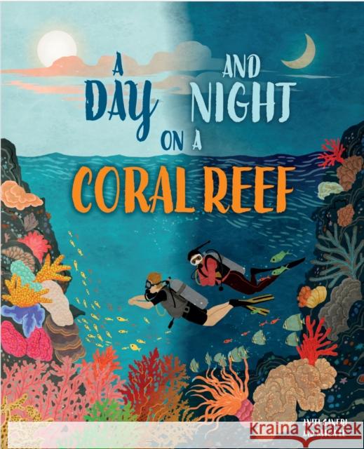 A Day and Night: On a Coral Reef Anita Ganeri 9781445191638 Hachette Children's Group - książka