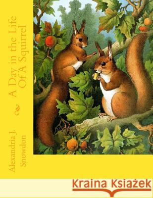 A Day in the Life Of A Squirrel Snowdon, Alexandria J. 9781519399977 Createspace Independent Publishing Platform - książka