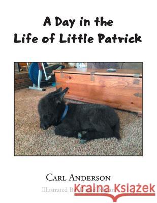 A Day in the Life of Little Patrick Carl Anderson 9781543438611 Xlibris - książka