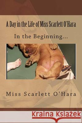 A Day in the Life of Miss Scarlett O'Hara: In the Beginning Miss Scarlett O'Hara 9781495239311 Createspace - książka