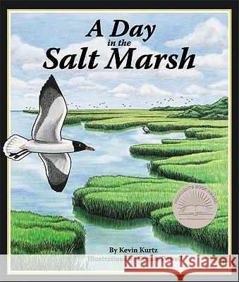 A Day in the Salt Marsh Kevin Kurtz Consie Powell 9781934359198 Sylvan Dell Publishing - książka