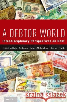 A Debtor World: Interdisciplinary Perspectives on Debt Brubaker, Ralph 9780199873722 Oxford University Press, USA - książka