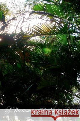 A Dictionary Of Canon Law Trudel S. S., P. 9781466370135 Createspace - książka