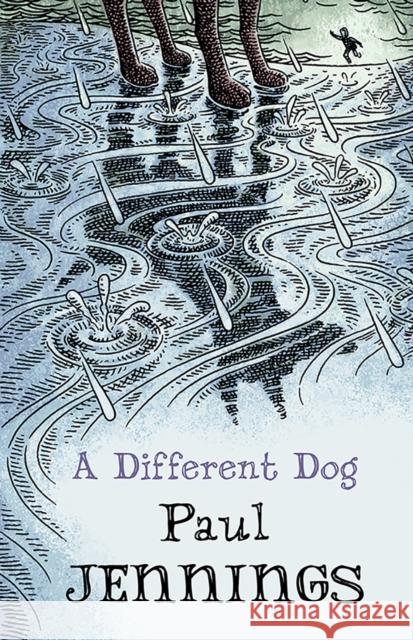 A Different Dog Paul Jennings 9781910646427 Old Barn Books - książka