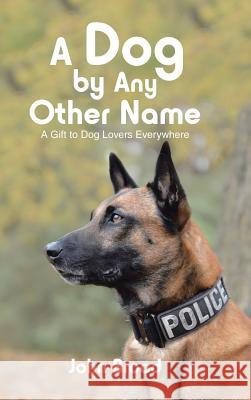 A Dog by Any Other Name: A Gift to Dog Lovers Everywhere John Broad 9781546284000 Authorhouse UK - książka