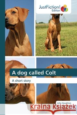 A dog called Colt John Haughton 9786200494092 Justfiction Edition - książka