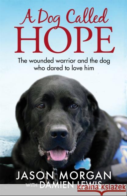 A Dog Called Hope: The wounded warrior and the dog who dared to love him Damien Lewis 9781784297169 Quercus Publishing - książka
