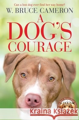 A Dog's Courage W. Bruce Cameron 9781529075854 Pan Macmillan - książka