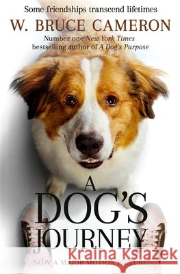 A Dog's Journey W. Bruce Cameron 9781529013931 Pan Macmillan - książka