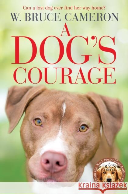 A Dog's Courage W. Bruce Cameron 9781529075854 Pan Macmillan - książka