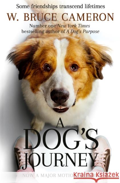A Dog's Journey W. Bruce Cameron 9781529013931 Pan Macmillan - książka