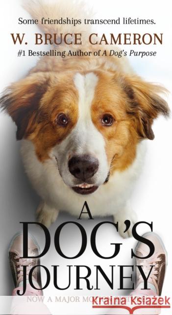 A Dog's Journey Movie Tie-In W. Bruce Cameron 9781250225344 Forge - książka