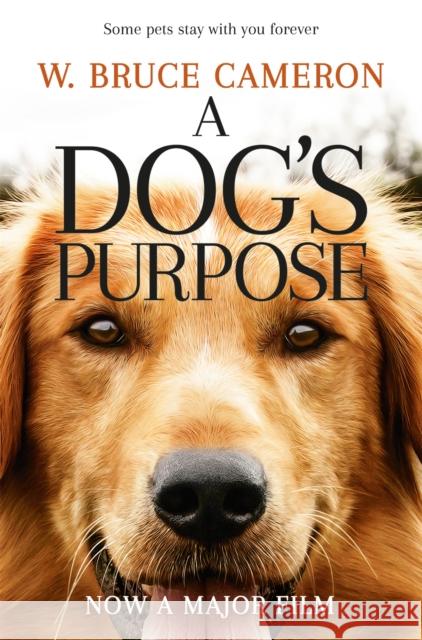 A Dog's Purpose W. Bruce Cameron 9781509852826 Pan Macmillan - książka