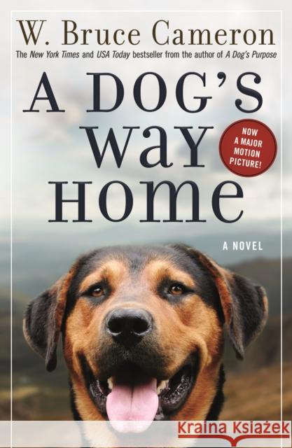 A Dog's Way Home W. Bruce Cameron 9780765374660 Forge - książka