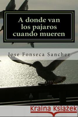 A donde van los pajaros cuando mueren: Una historia de amor en el cielo Sanchez, Jose Ramon Fonseca 9781497584235 Createspace - książka