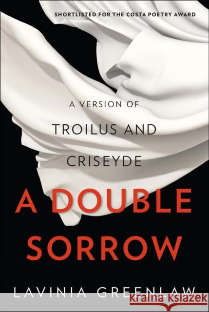 A Double Sorrow: A Version of Troilus and Criseyde Lavinia Greenlaw 9780393247329 W. W. Norton & Company - książka