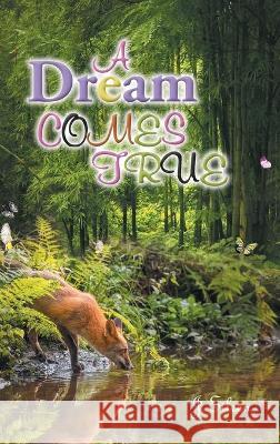 A Dream Comes True J Eileen 9781646547173 Fulton Books - książka