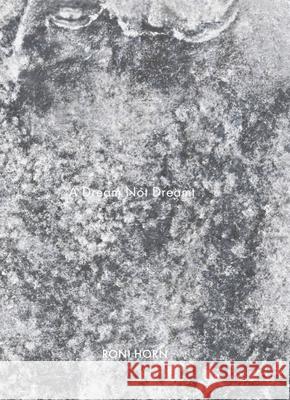 A Dream Not Dreamt Horn, Roni 9783969993972 Steidl - książka