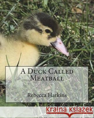 A Duck Called Meatball Rebecca Harkins 9781548464943 Createspace Independent Publishing Platform - książka