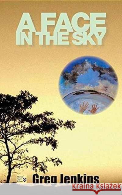 A Face in the Sky Greg Jenkins 9781941861141 Harvard Square Editions - książka