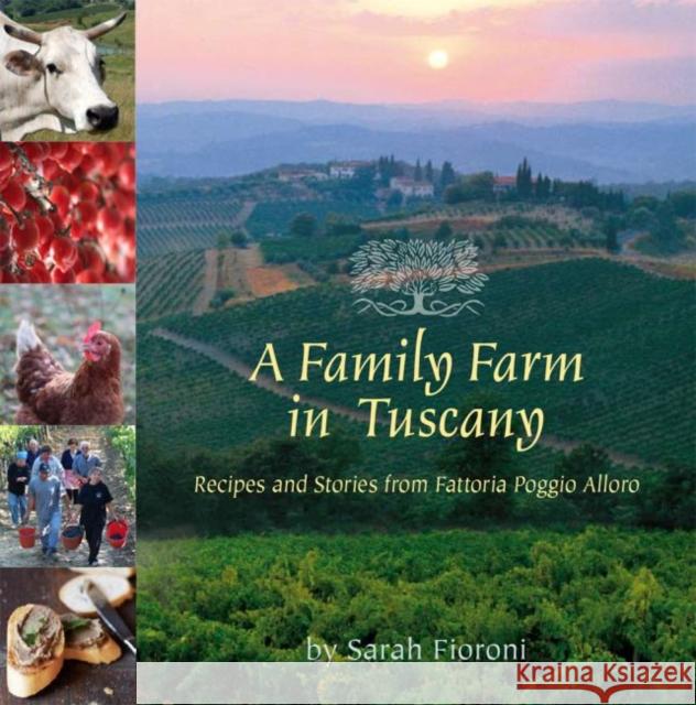 A Family Farm in Tuscany: Recipes and Stories from Fattoria Poggio Alloro Sarah Fioroni 9780940672833 Shearer Publishing - książka