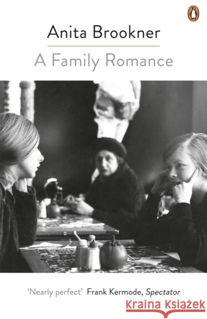 A Family Romance Anita Brookner 9780241979426  - książka