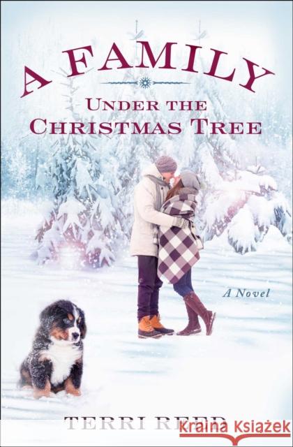 A Family Under the Christmas Tree Terri Reed 9781501144745 Howard Books - książka