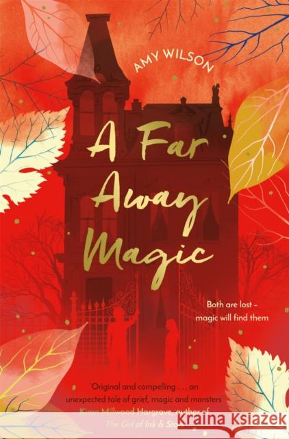 A Far Away Magic Amy Wilson 9781509837755  - książka