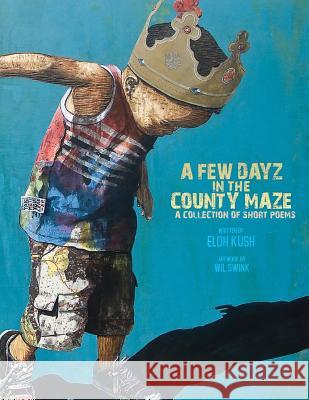 A Few Dayz In The County Maze: A Collection Of Short Poems And Essays Ali, Seshat 9781541061484 Createspace Independent Publishing Platform - książka