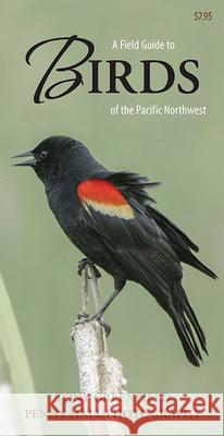 A Field Guide to Birds of the Pacific Northwest Tony Greenfield Penny Hall 9781550176056 Harbour Publishing - książka