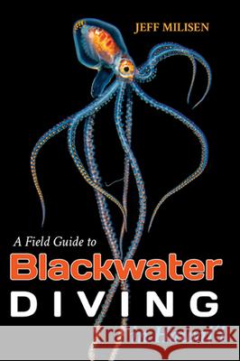 A Field Guide to Blackwater Diving in Hawaii Jeff Milisen 9781949307146 Mutual Publishig LLC - książka