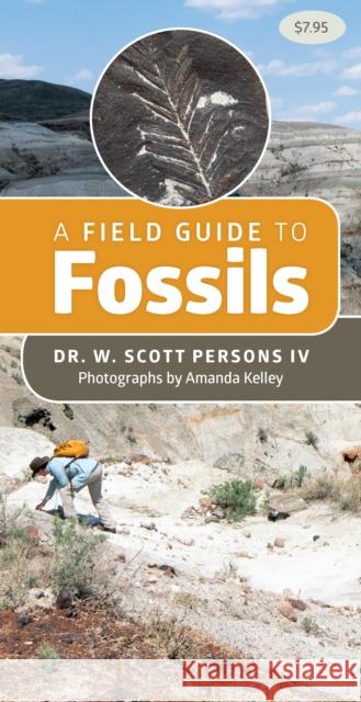 A Field Guide to Fossils W. Scott Persons 9781550179101 Harbour Publishing - książka