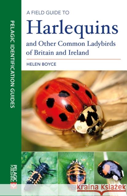 A Field Guide to Harlequins and Other Common Ladybirds of Britain and Ireland  9781784272449 Pelagic Publishing Ltd - książka