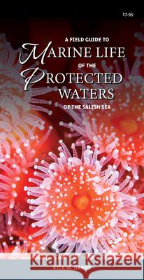 A Field Guide to Marine Life of the Protected Waters of the Salish Sea Rick M. Harbo 9781550178531 Harbour Publishing - książka