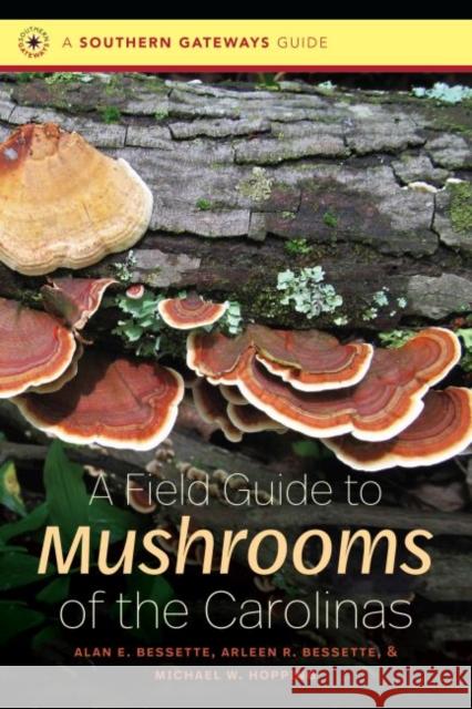A Field Guide to Mushrooms of the Carolinas Alan E. Bessette Arleen R. Bessette Michael W. Hopping 9781469638539 University of North Carolina Press - książka